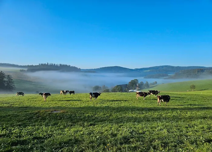Lorenzenhaeusle Titisee-Neustadt
