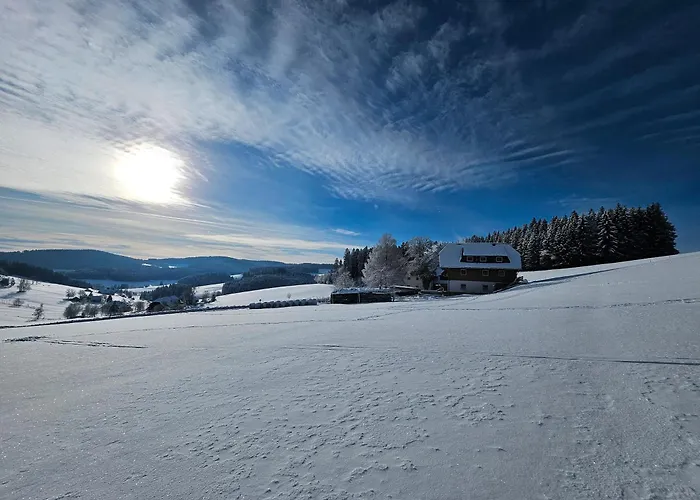 Lorenzenhaeusle Titisee-Neustadt