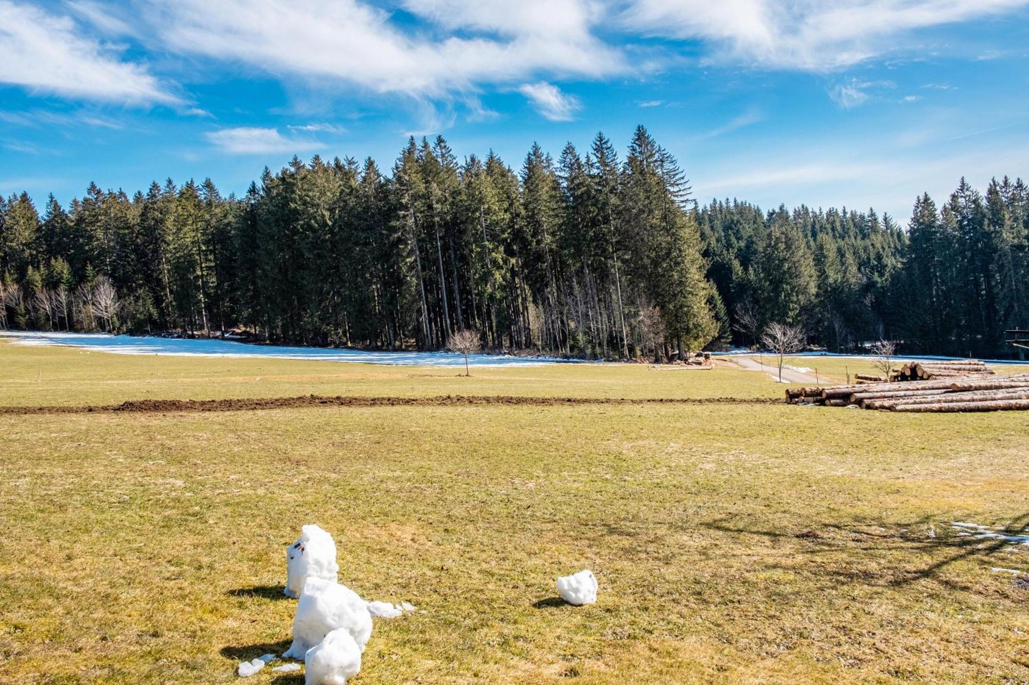 Lorenzenhaeusle * Titisee-Neustadt