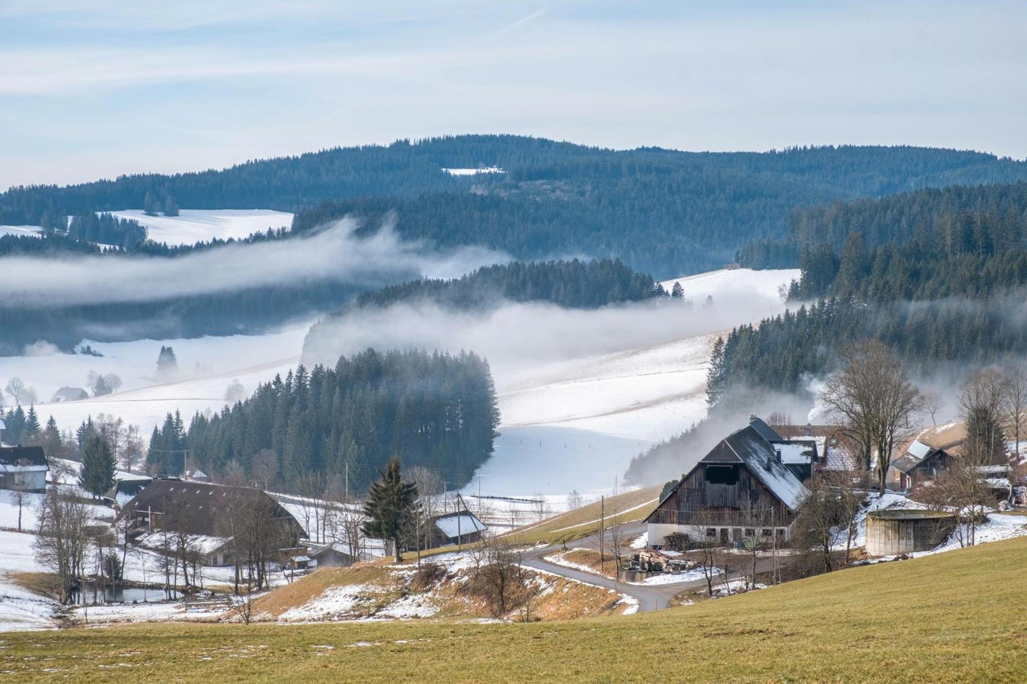 Lorenzenhaeusle Apartment Titisee-Neustadt