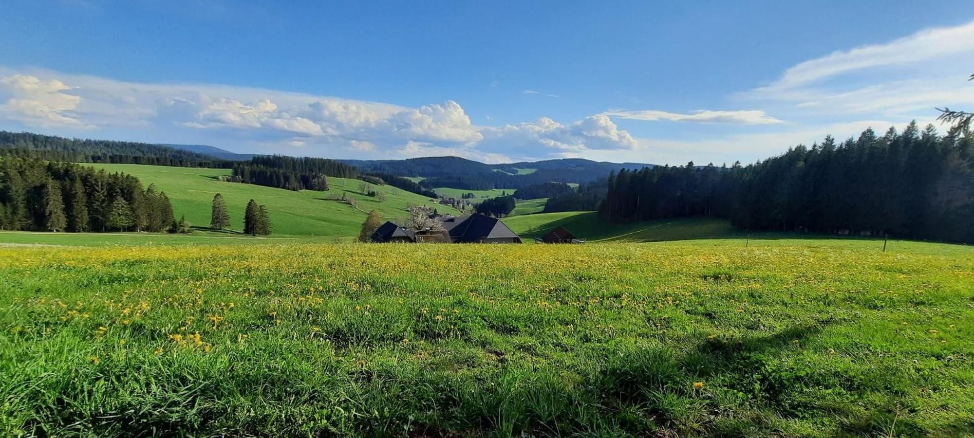 Lorenzenhaeusle * Titisee-Neustadt
