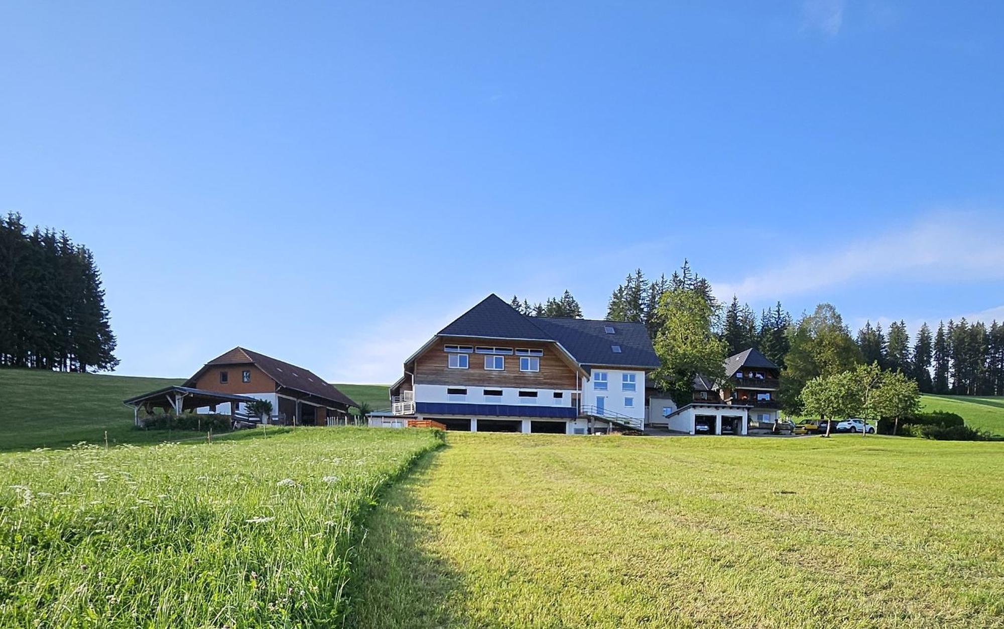 Apartment Lorenzenhaeusle *